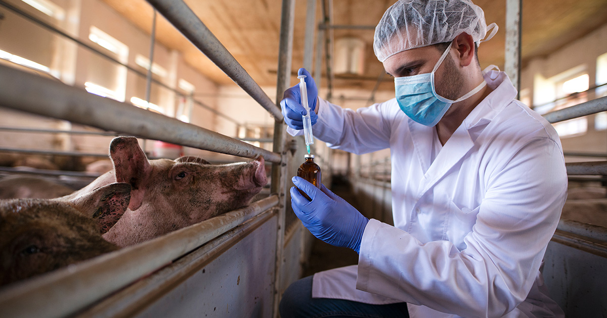 Logistics in the veterinary industry